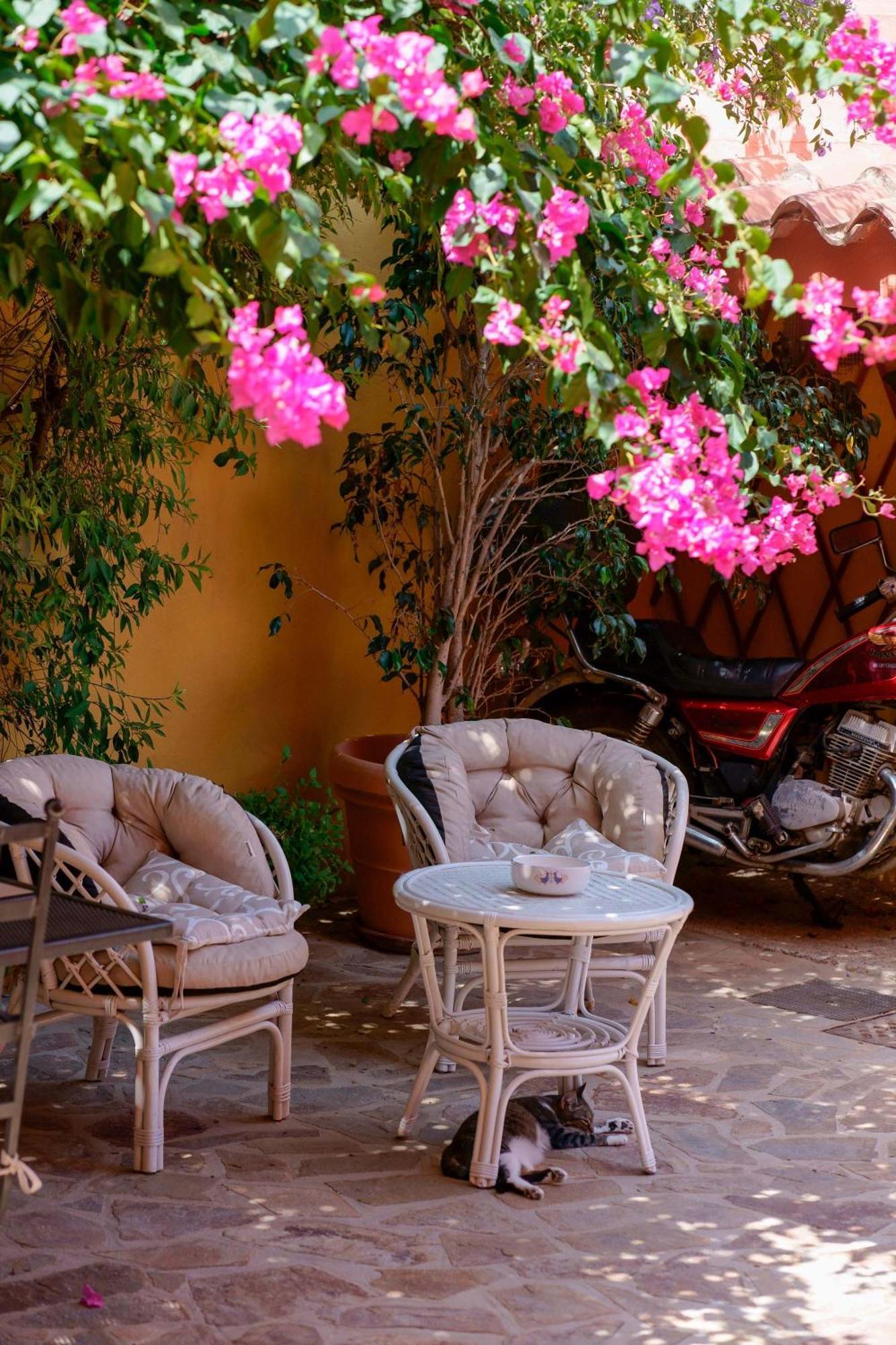 Il Piccolo Giardino Rooms & Breakfast Villasimius Exterior foto