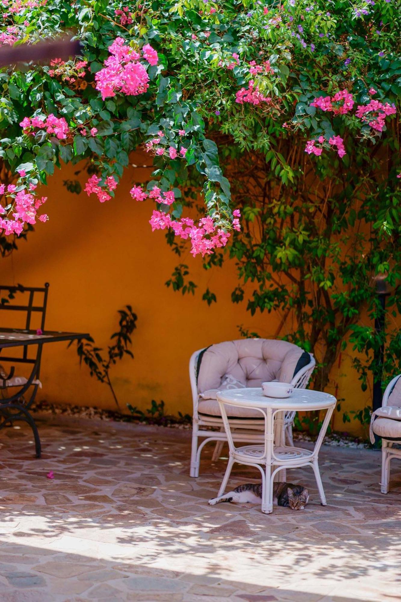 Il Piccolo Giardino Rooms & Breakfast Villasimius Exterior foto