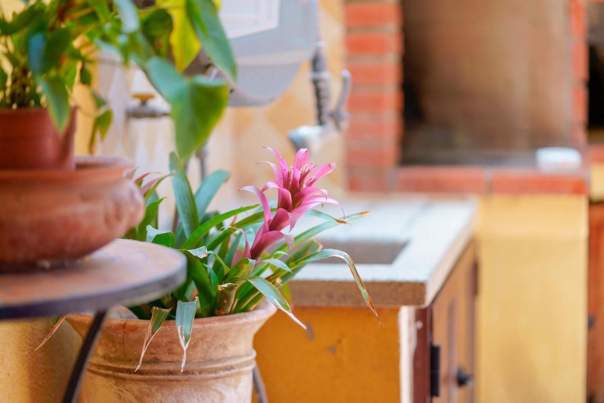 Il Piccolo Giardino Rooms & Breakfast Villasimius Exterior foto